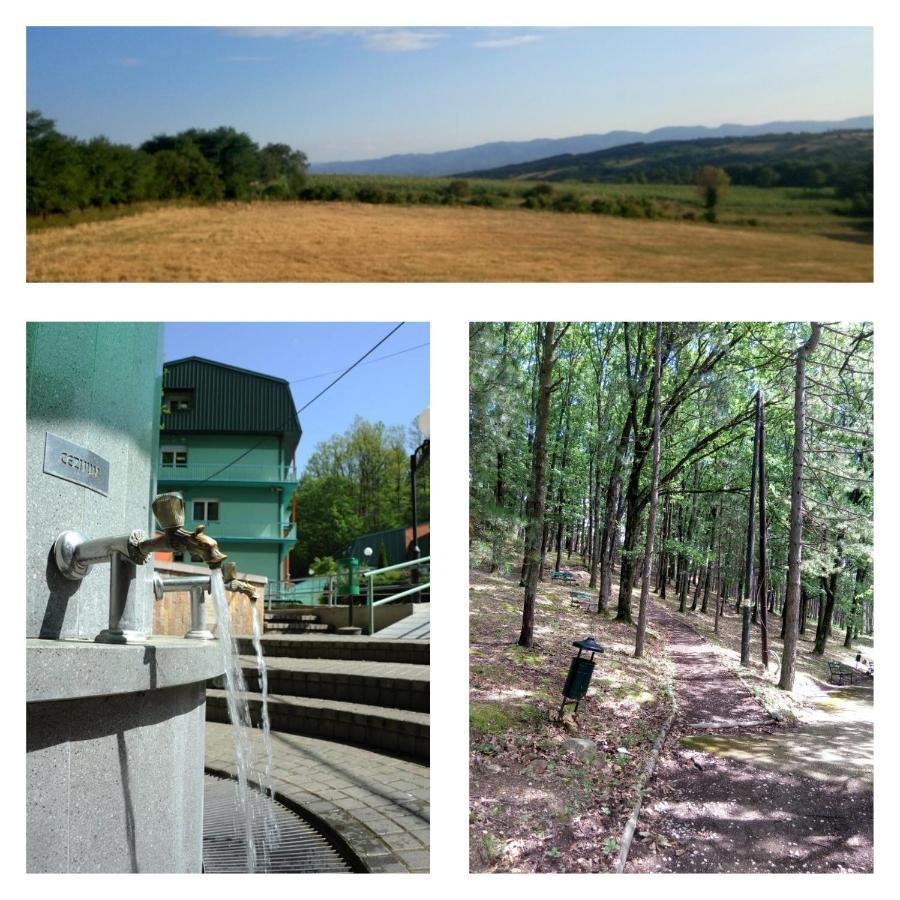 Guesthouse Edelnice Gornja Trepča Стая снимка